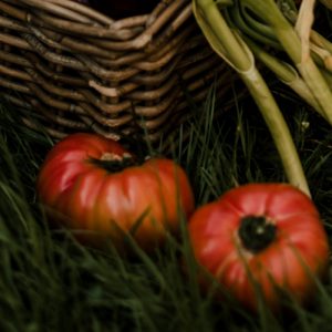 Ellauri Hotela - Adults only Landscape Hotel - Restaurante Kiloterdi - huerto tomates
