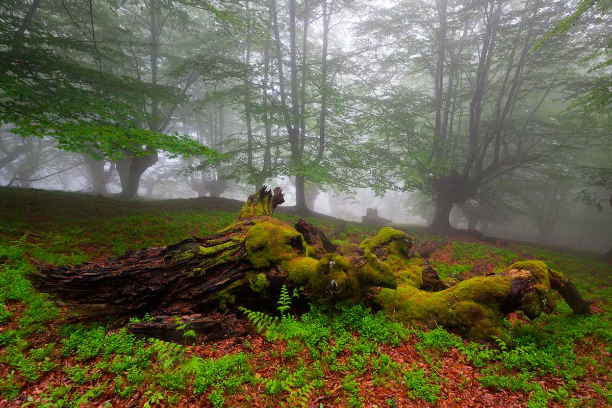 Otoño en Euskadi